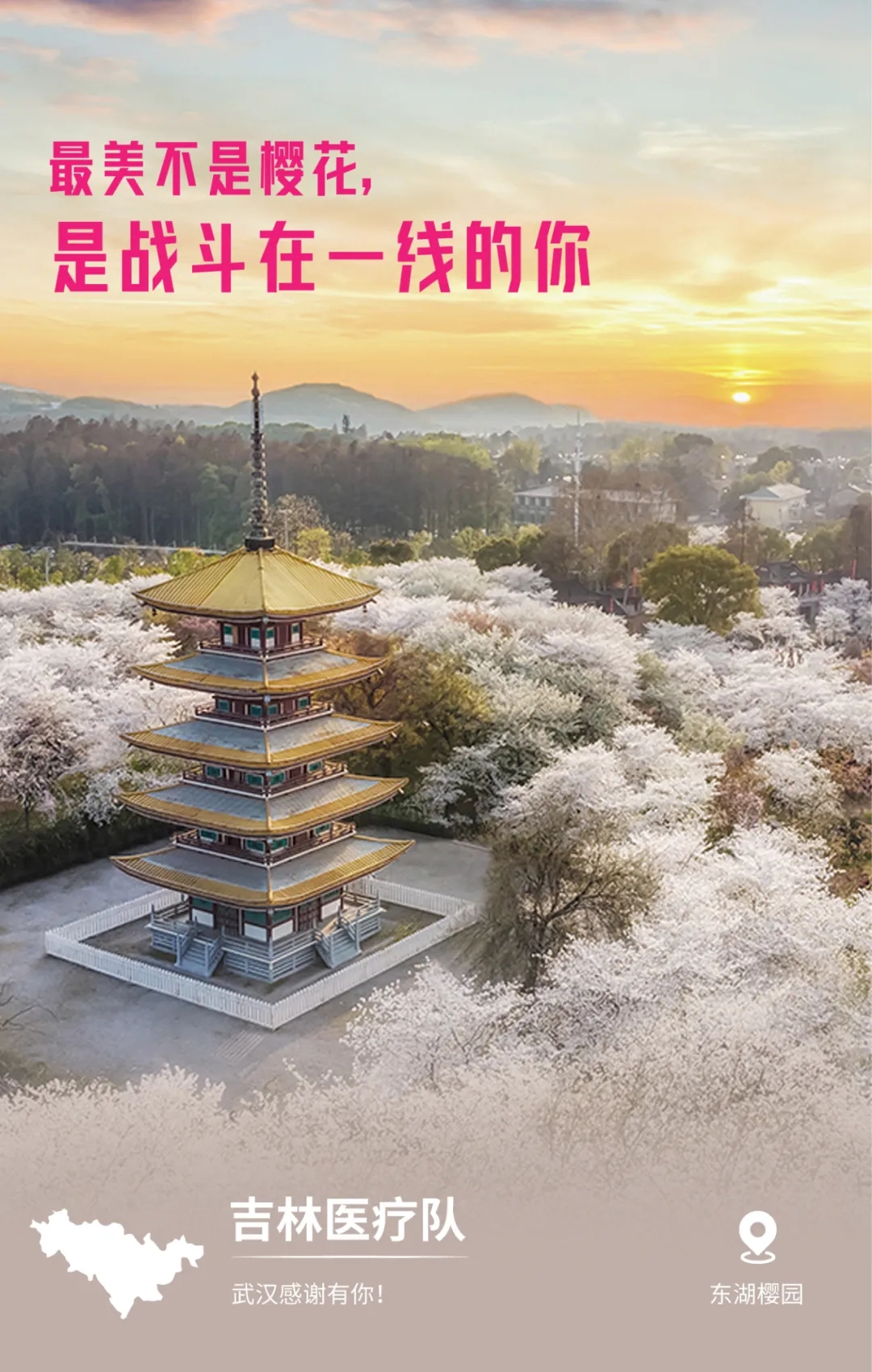 1585036692.jpg 640.webp (1).jpg