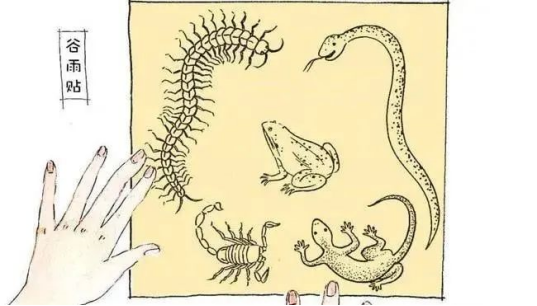 1681970664805917.png image.png